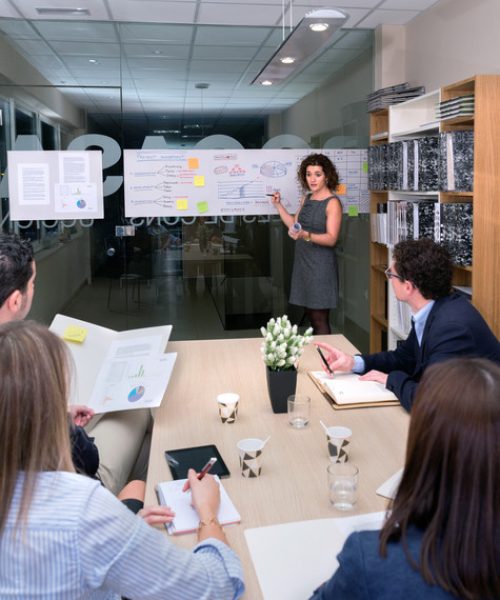 Female coach training business team sitting at table with documents in headquarters